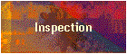 Inspection