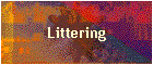 Littering